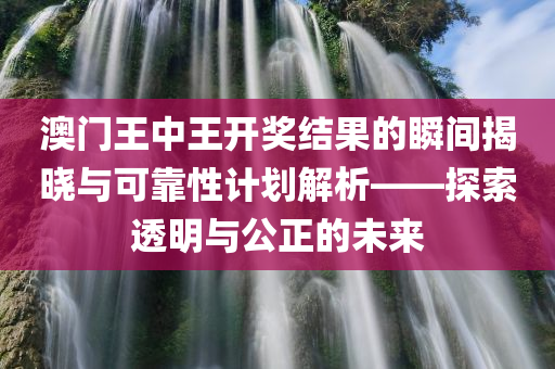 澳门王中王开奖结果的瞬间揭晓与可靠性计划解析——探索透明与公正的未来