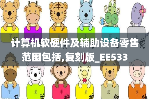 计算机软硬件及辅助设备零售范围包括,复刻版_EE533