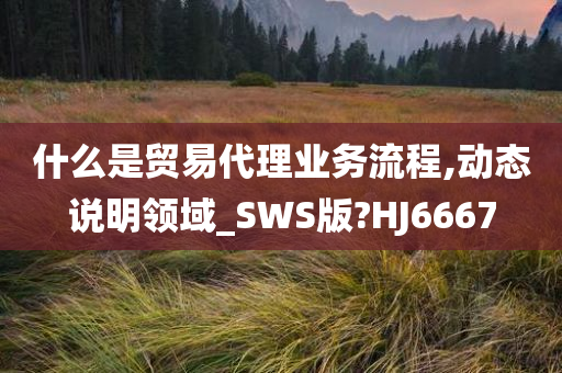 什么是贸易代理业务流程,动态说明领域_SWS版?HJ6667