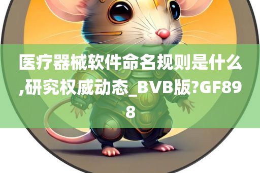 医疗器械软件命名规则是什么,研究权威动态_BVB版?GF898