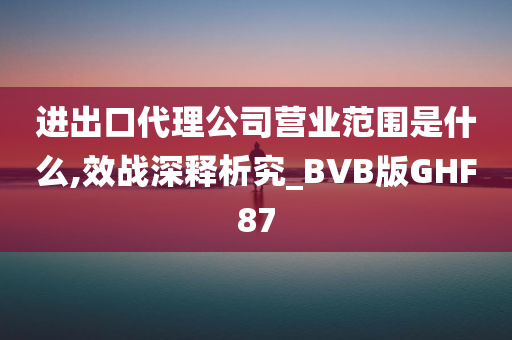 进出口代理公司营业范围是什么,效战深释析究_BVB版GHF87