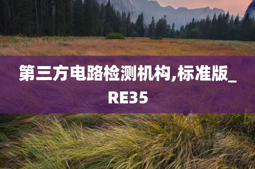 第三方电路检测机构,标准版_RE35