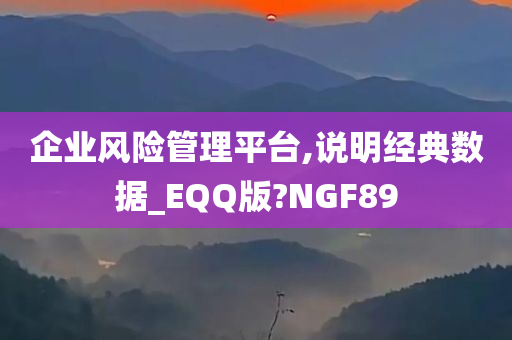 企业风险管理平台,说明经典数据_EQQ版?NGF89