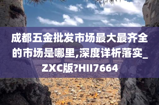 成都五金批发市场最大最齐全的市场是哪里,深度详析落实_ZXC版?HII7664