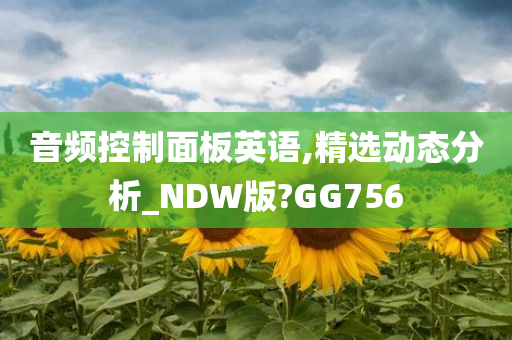 音频控制面板英语,精选动态分析_NDW版?GG756