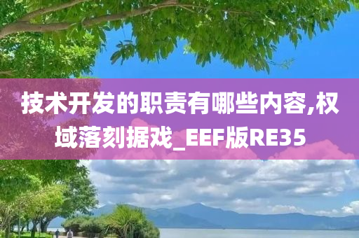 技术开发的职责有哪些内容,权域落刻据戏_EEF版RE35