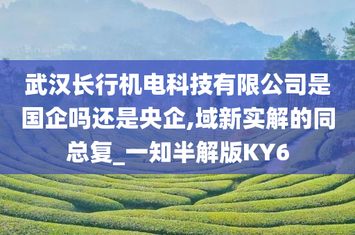 武汉长行机电科技有限公司是国企吗还是央企,域新实解的同总复_一知半解版KY6