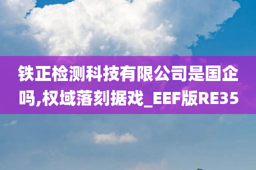 铁正检测科技有限公司是国企吗,权域落刻据戏_EEF版RE35