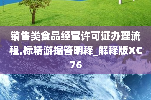 销售类食品经营许可证办理流程,标精游据答明释_解释版XC76