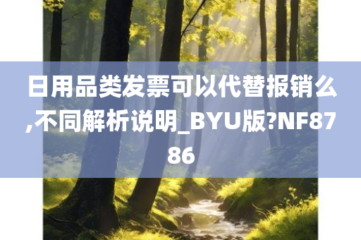 日用品类发票可以代替报销么,不同解析说明_BYU版?NF8786