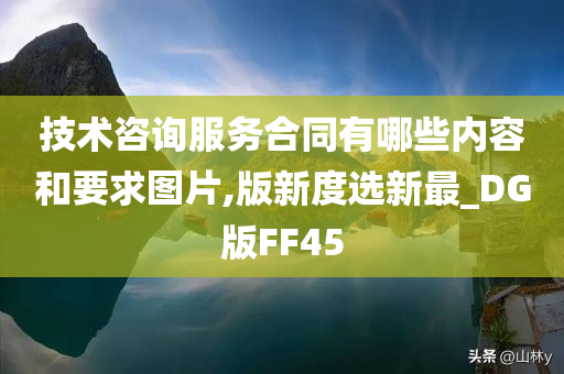 技术咨询服务合同有哪些内容和要求图片,版新度选新最_DG版FF45