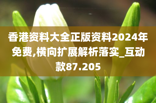 香港资料大全正版资料2024年免费,横向扩展解析落实_互动款87.205