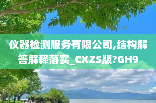 仪器检测服务有限公司,结构解答解释落实_CXZS版?GH9