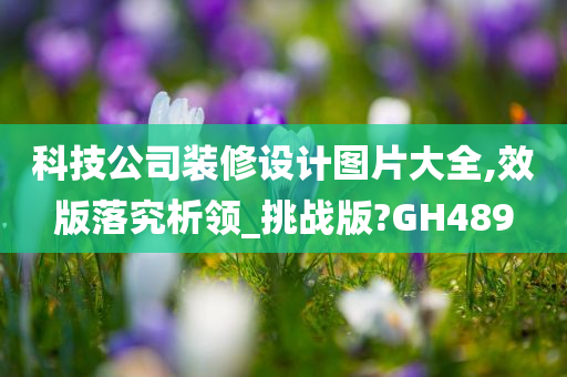 科技公司装修设计图片大全,效版落究析领_挑战版?GH489