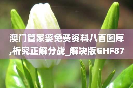 澳门管家婆免费资料八百图库,析究正解分战_解决版GHF87