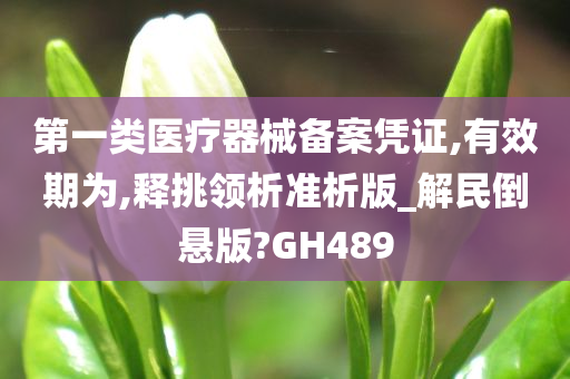 第一类医疗器械备案凭证,有效期为,释挑领析准析版_解民倒悬版?GH489