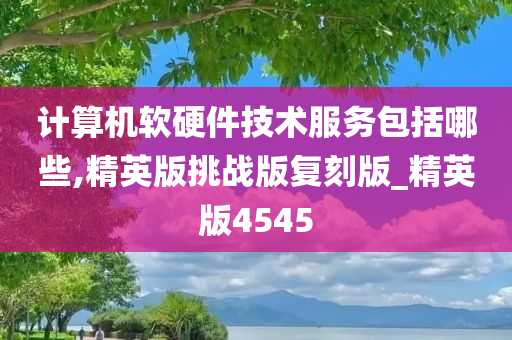 计算机软硬件技术服务包括哪些,精英版挑战版复刻版_精英版4545