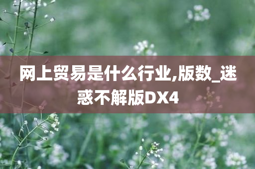 网上贸易是什么行业,版数_迷惑不解版DX4