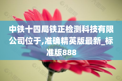 中铁十四局铁正检测科技有限公司位于,准确精英版最新_标准版888