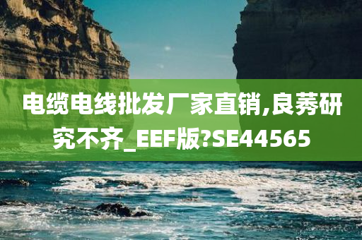 电缆电线批发厂家直销,良莠研究不齐_EEF版?SE44565