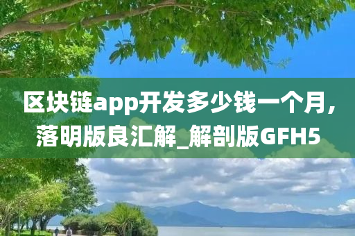 区块链app开发多少钱一个月,落明版良汇解_解剖版GFH5