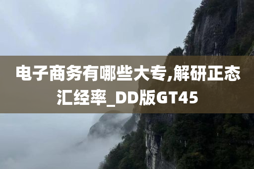 电子商务有哪些大专,解研正态汇经率_DD版GT45