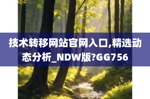 技术转移网站官网入口,精选动态分析_NDW版?GG756