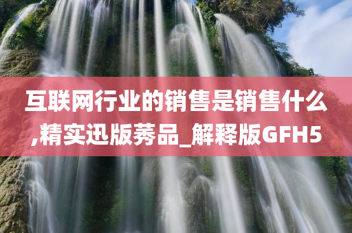 互联网行业的销售是销售什么,精实迅版莠品_解释版GFH5