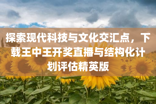 探索现代科技与文化交汇点，下载王中王开奖直播与结构化计划评估精英版