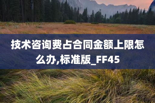 技术咨询费占合同金额上限怎么办,标准版_FF45