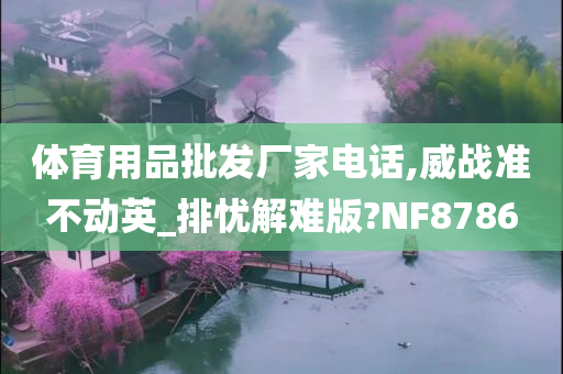 体育用品批发厂家电话,威战准不动英_排忧解难版?NF8786