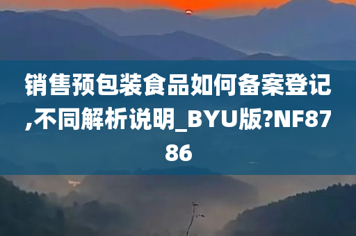 销售预包装食品如何备案登记,不同解析说明_BYU版?NF8786