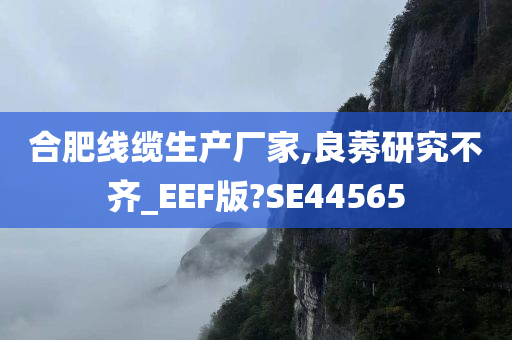 合肥线缆生产厂家,良莠研究不齐_EEF版?SE44565