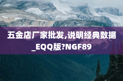 五金店厂家批发,说明经典数据_EQQ版?NGF89