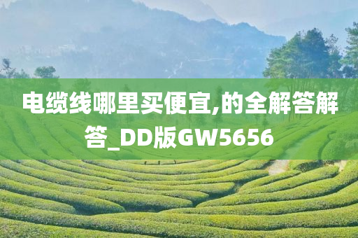 电缆线哪里买便宜,的全解答解答_DD版GW5656