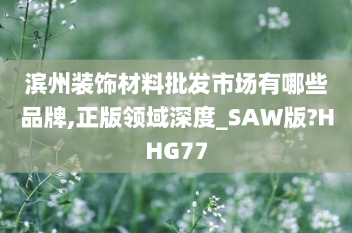 滨州装饰材料批发市场有哪些品牌,正版领域深度_SAW版?HHG77