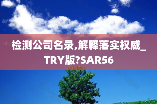 检测公司名录,解释落实权威_TRY版?SAR56