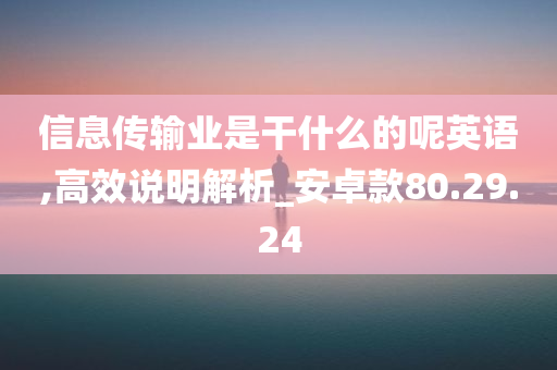 信息传输业是干什么的呢英语,高效说明解析_安卓款80.29.24