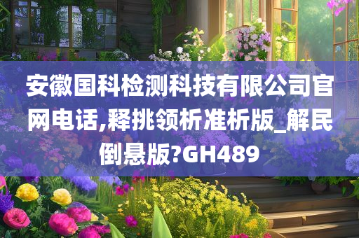 安徽国科检测科技有限公司官网电话,释挑领析准析版_解民倒悬版?GH489