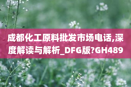 成都化工原料批发市场电话,深度解读与解析_DFG版?GH489