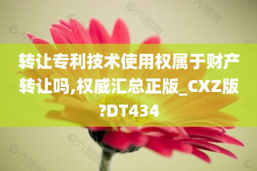 转让专利技术使用权属于财产转让吗,权威汇总正版_CXZ版?DT434