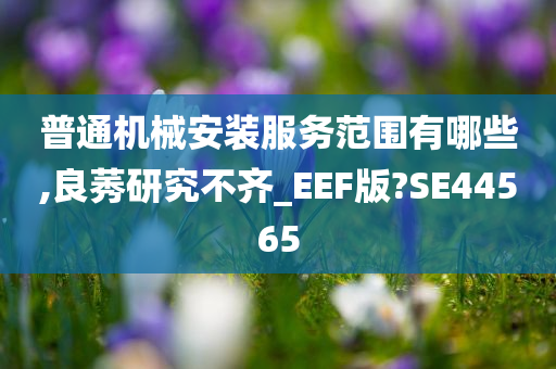 普通机械安装服务范围有哪些,良莠研究不齐_EEF版?SE44565