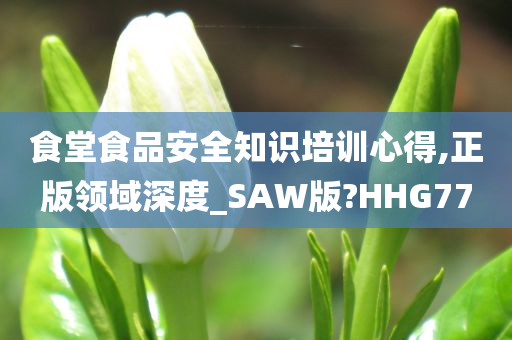 食堂食品安全知识培训心得,正版领域深度_SAW版?HHG77