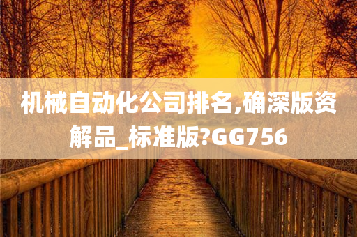 机械自动化公司排名,确深版资解品_标准版?GG756