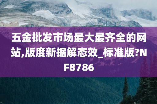 五金批发市场最大最齐全的网站,版度新据解态效_标准版?NF8786