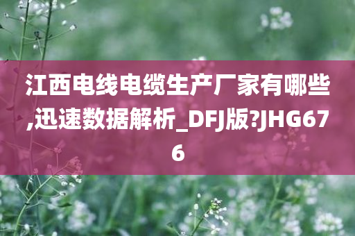 江西电线电缆生产厂家有哪些,迅速数据解析_DFJ版?JHG676