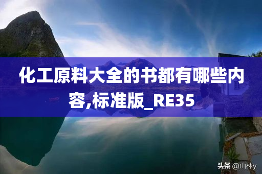 化工原料大全的书都有哪些内容,标准版_RE35