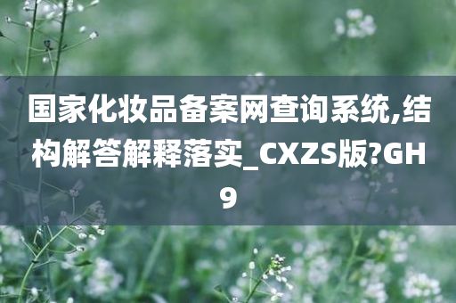 国家化妆品备案网查询系统,结构解答解释落实_CXZS版?GH9