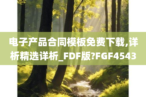 电子产品合同模板免费下载,详析精选详析_FDF版?FGF4543