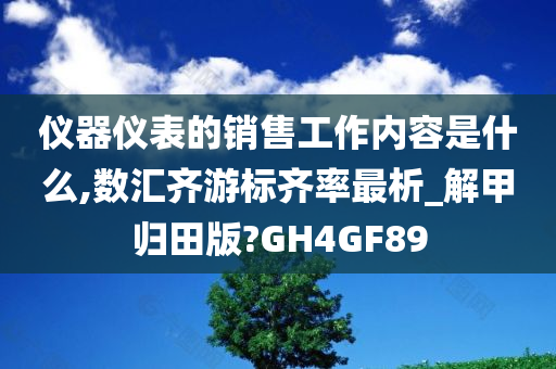 仪器仪表的销售工作内容是什么,数汇齐游标齐率最析_解甲归田版?GH4GF89